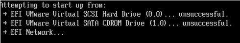 error uefi vmware